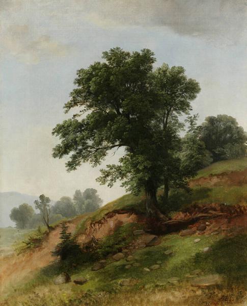 Nature Study, 1853, Asher Brown Durand