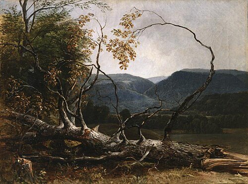 Study from Nature, Stratton Notch, Vermont, 1853, Asher Brown Durand
