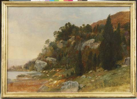 Study from Nature, Peekskill, N.Y., 1854, Asher Brown Durand
