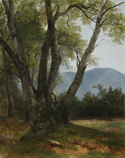 Shandaken, Ulster County, New York, 1854, Asher Brown Durand