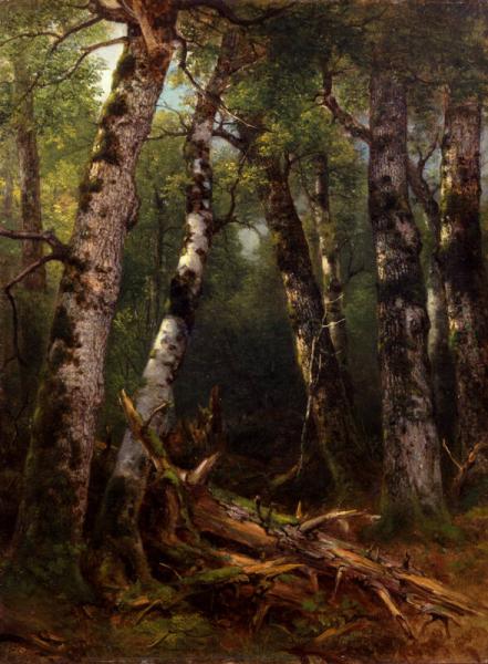 Group of Trees, 1856, Asher Brown Durand