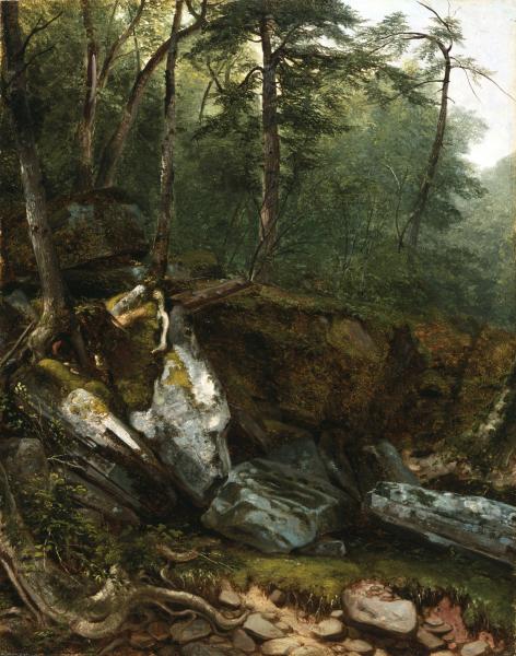 Study from Nature: Rocks and Trees in the Catskills, New York, 1856, Asher Brown Durand