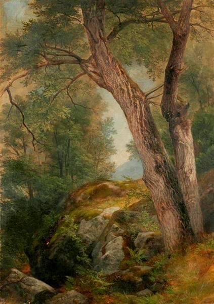 Butternut Tree at Hague, Lake George, New York, 1862, Asher Brown Durand