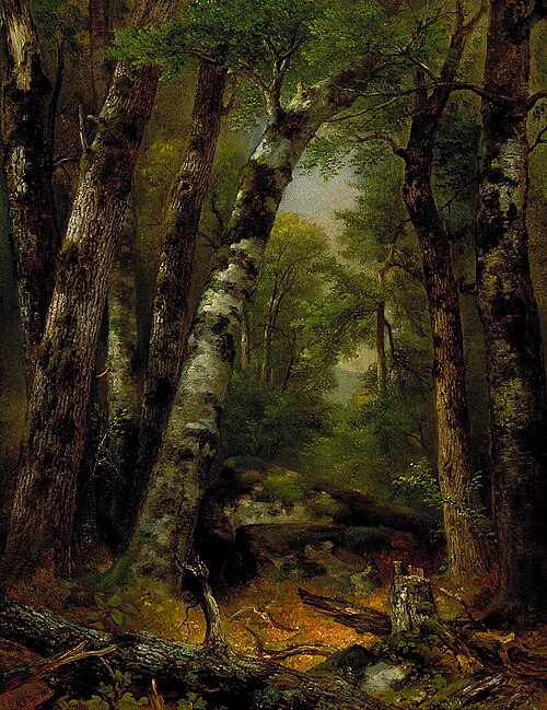 Woodland Glen, 1850, Asher Brown Durand