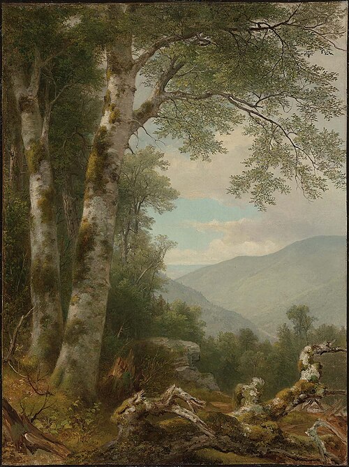 Landscape with Birches, 1855, Asher Brown Durand