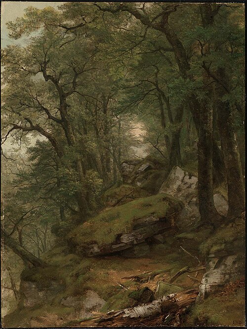 Woodland Interior, 1855, Asher Brown Durand