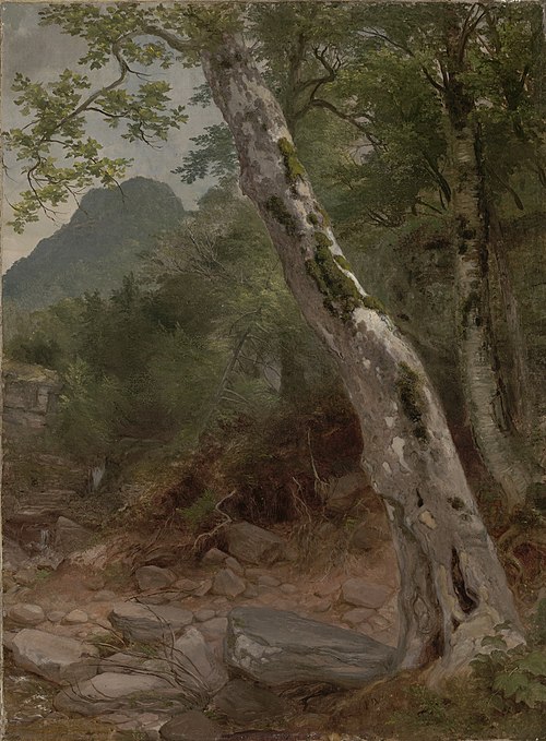 A Sycamore Tree, Plaaterkill Clove, 1858, Asher Brown Durand