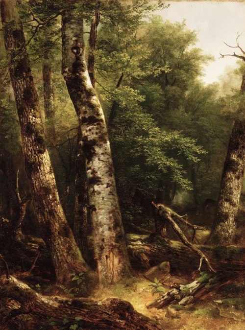 Landscape (Birch and Oaks), 1855, Asher Brown Durand