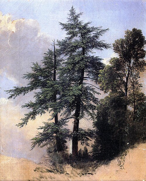 Nature Study, Trees, Newburgh, New York, 1849, Asher Brown Durand