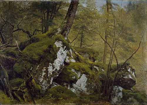 Study of a Wood Interior, 1855, Asher Brown Durand