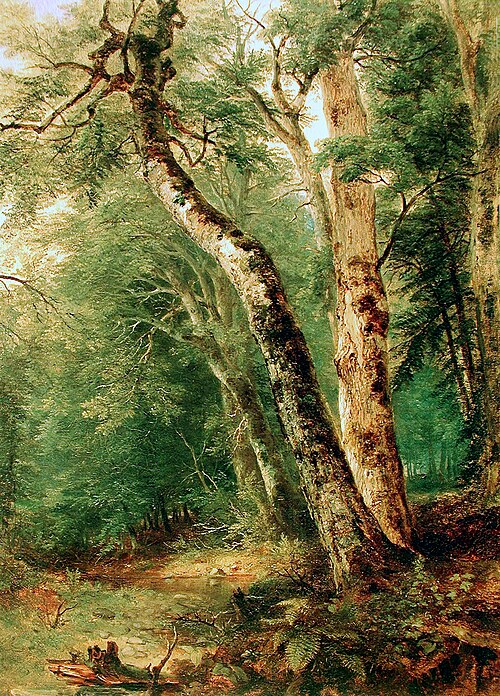 Woodland Interior, 1855, Asher Brown Durand