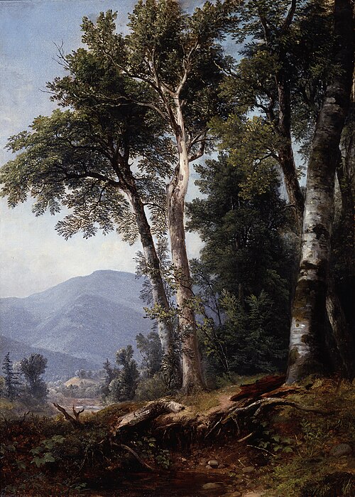 Woodland Landscape, 1850, Asher Brown Durand