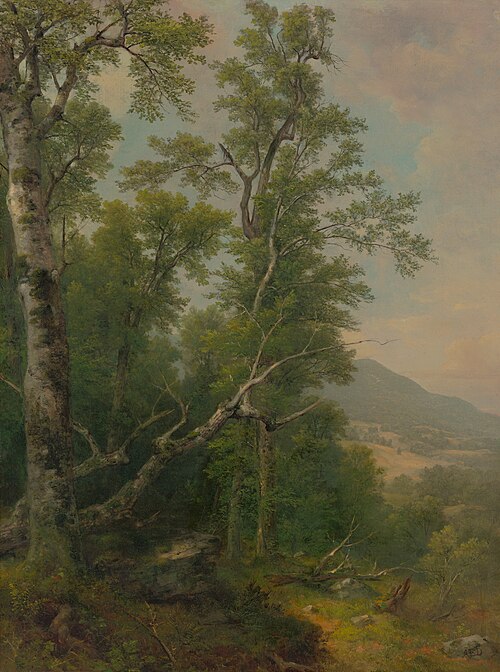 Study of Tree, 1850, Asher Brown Durand