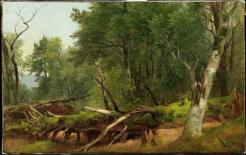 Forest Scene in the Catskills, 1855, Asher Brown Durand