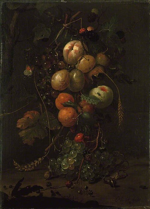 Still Life of Fruit, 1708, Jan Mortel