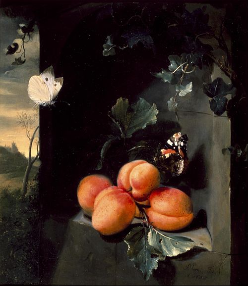 Still Life with Apricots and Butterflies, 1683, Jan Mortel