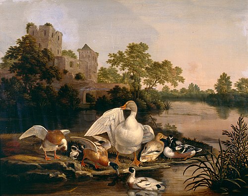 Ducks in a Wooded Landscape, 1660, Dirck Wijntrack