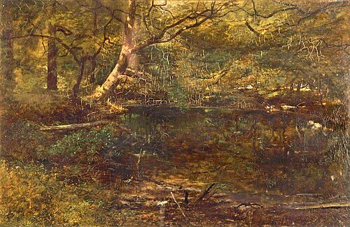 Kingfisher's Haunt, , Robert Tonge