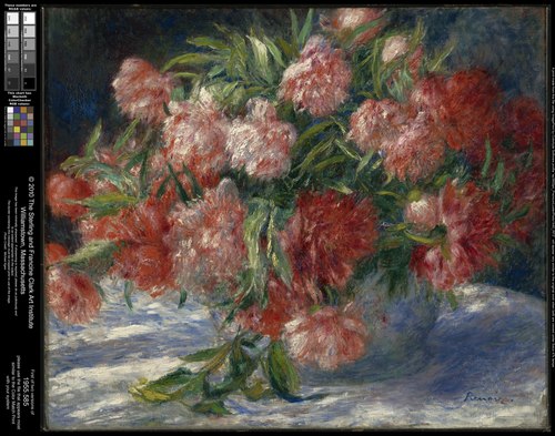 Pivoines, 1880, Auguste Renoir