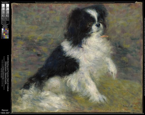 Le chien Tama, 1876, Auguste Renoir