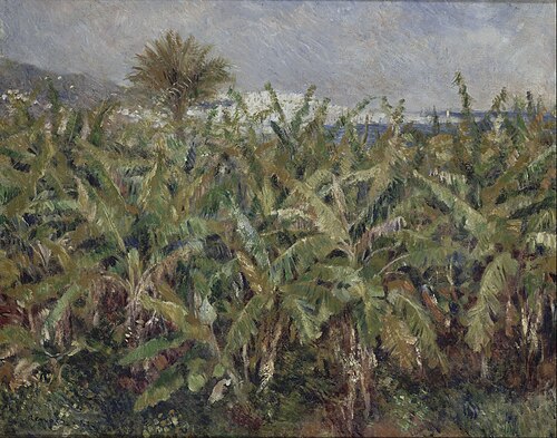 Champ de bananiers, 1881, Pierre-Auguste Renoir