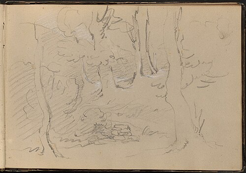 Sketch of a Group of Trees, , William Brockedon