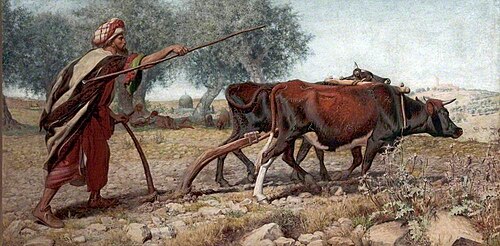 Ploughing Mount Sion, Jerusalem, 1863, William James Webb