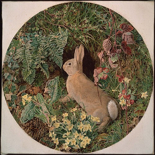 Rabbit amid Ferns and Flowering Plants, 1855, William James Webb