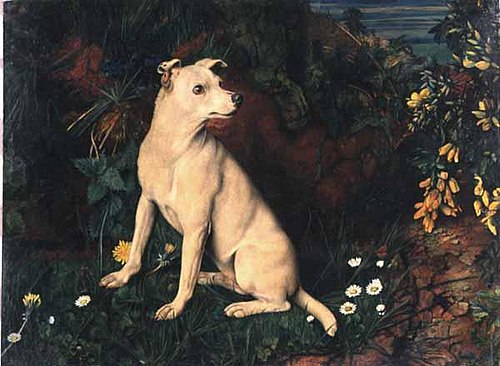A White Terrier by a Mossy Bank with Flowers, 1871, William James Webb