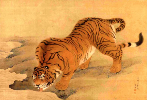 Mizu-nomi no Tora Zu, 1782, Maruyama Ōkyo
