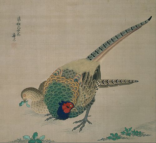 Hanging Scroll (pair of pheasants), 1750, Maruyama Ōkyo