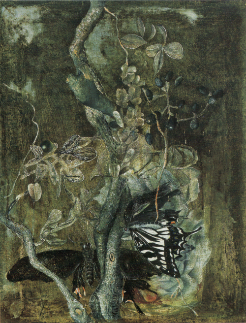 Butterflies, 1941, Aimitsu