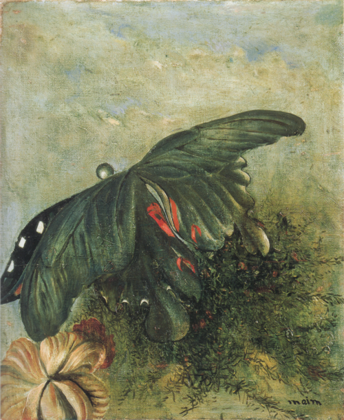 Butterfly, 1942, Aimitsu