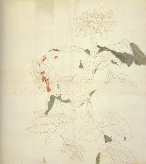 Dahlias, 1941, Aimitsu