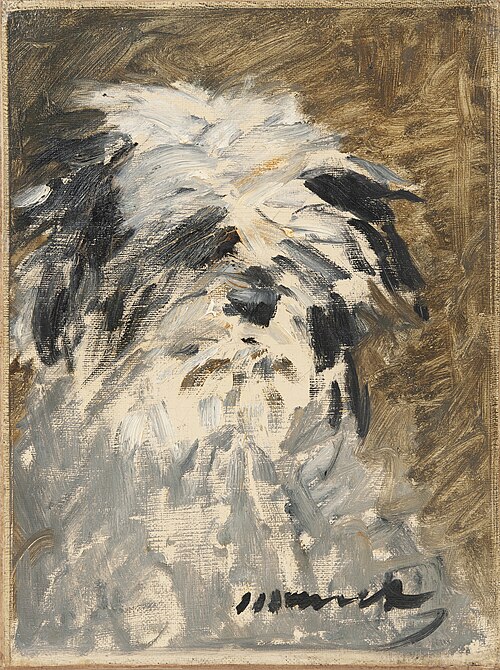 Minnay, 1879, Édouard Manet