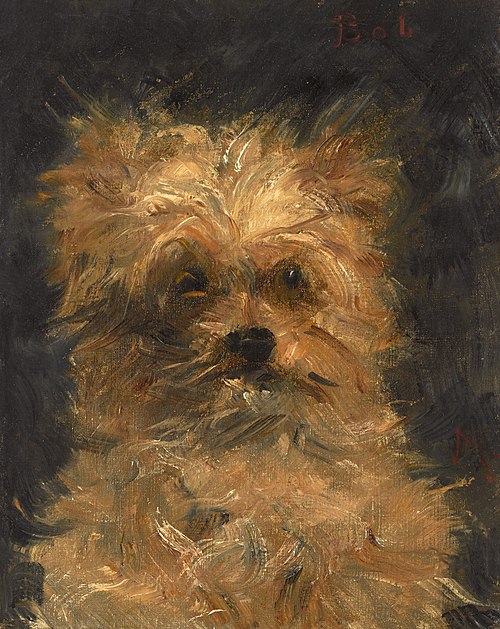 Bob, chien griffon, 1876, Édouard Manet