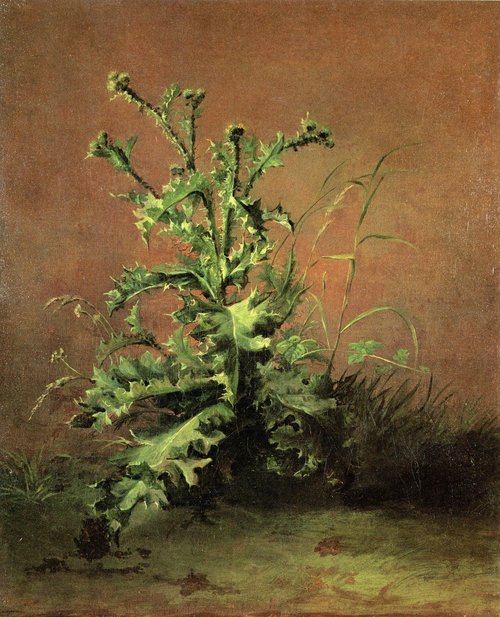 The Thistle, 1858, Édouard Manet