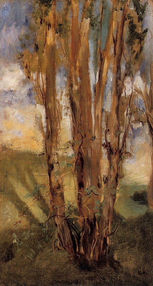 Etude d'arbres, 1859, Édouard Manet