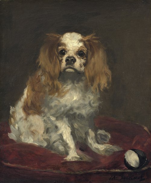 A King Charles Spaniel, 1866, Édouard Manet