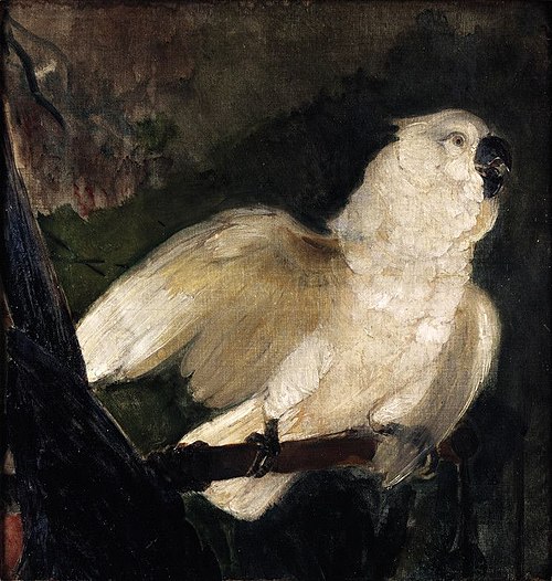 Deux perroquets, 1850, Édouard Manet