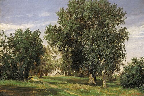 Forest Glade, 1869, Sergueï Ammossov