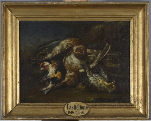 Tote Vögel, 1650, Giovanni Benedetto Castiglione