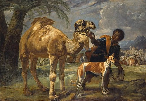 Mohr mit Windhund und Dromedar, 1636, Giovanni Benedetto Castiglione