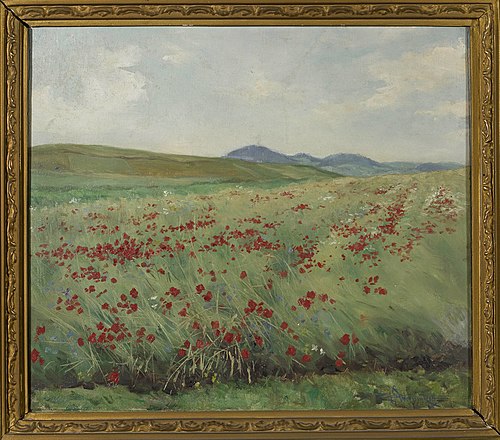 Field of poppies, 1900, Henryk Weyssenhoff
