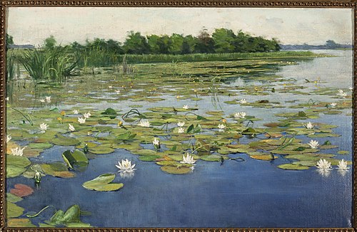 Water lilies., 1903, Henryk Weyssenhoff