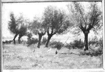 Landschap met plas, 1907, Dirk Gerard Ezerman
