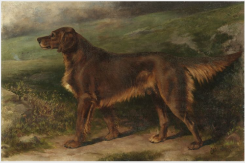 Garryowen (1876-1887), Champion Irish Red Setter, 1880, William Osborne