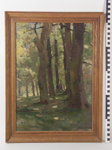 Bos, 1900, Bartus Korteling