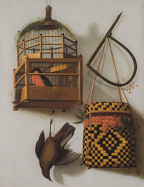 Trompe l'oeil with a bird cage, 1679, Cornelis Biltius