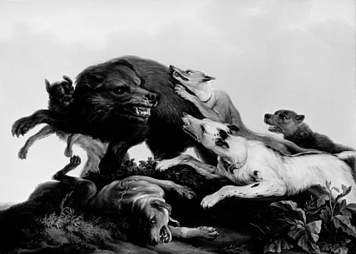 Bjørnejagt, 1811, Christian David Gebauer